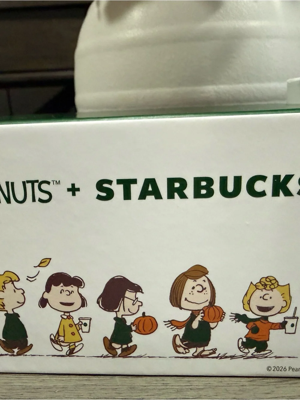 Starbucks x Peanuts Ceramic Mug with Green and White Box NWT